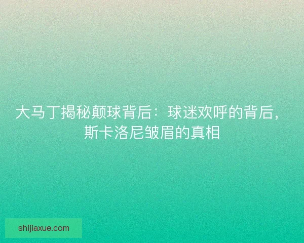 大马丁揭秘颠球背后：球迷欢呼的背后，斯卡洛尼皱眉的真相