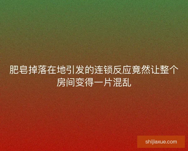 肥皂掉落在地引发的连锁反应竟然让整个房间变得一片混乱