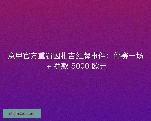 意甲官方重罚因扎吉红牌事件：停赛一场 + 罚款 5000 欧元