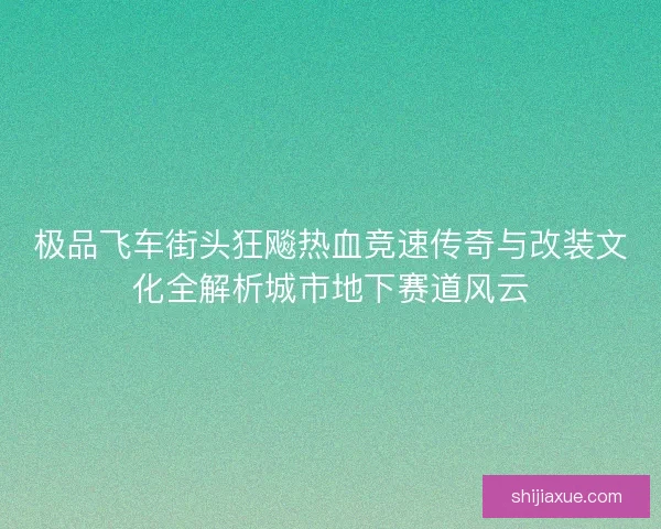 极品飞车街头狂飚热血竞速传奇与改装文化全解析城市地下赛道风云 极品飞车街头狂飚热血竞速传奇与改装文化全解析城市地下赛道风云