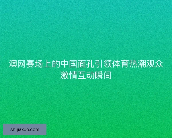 澳网赛场上的中国面孔引领体育热潮观众激情互动瞬间